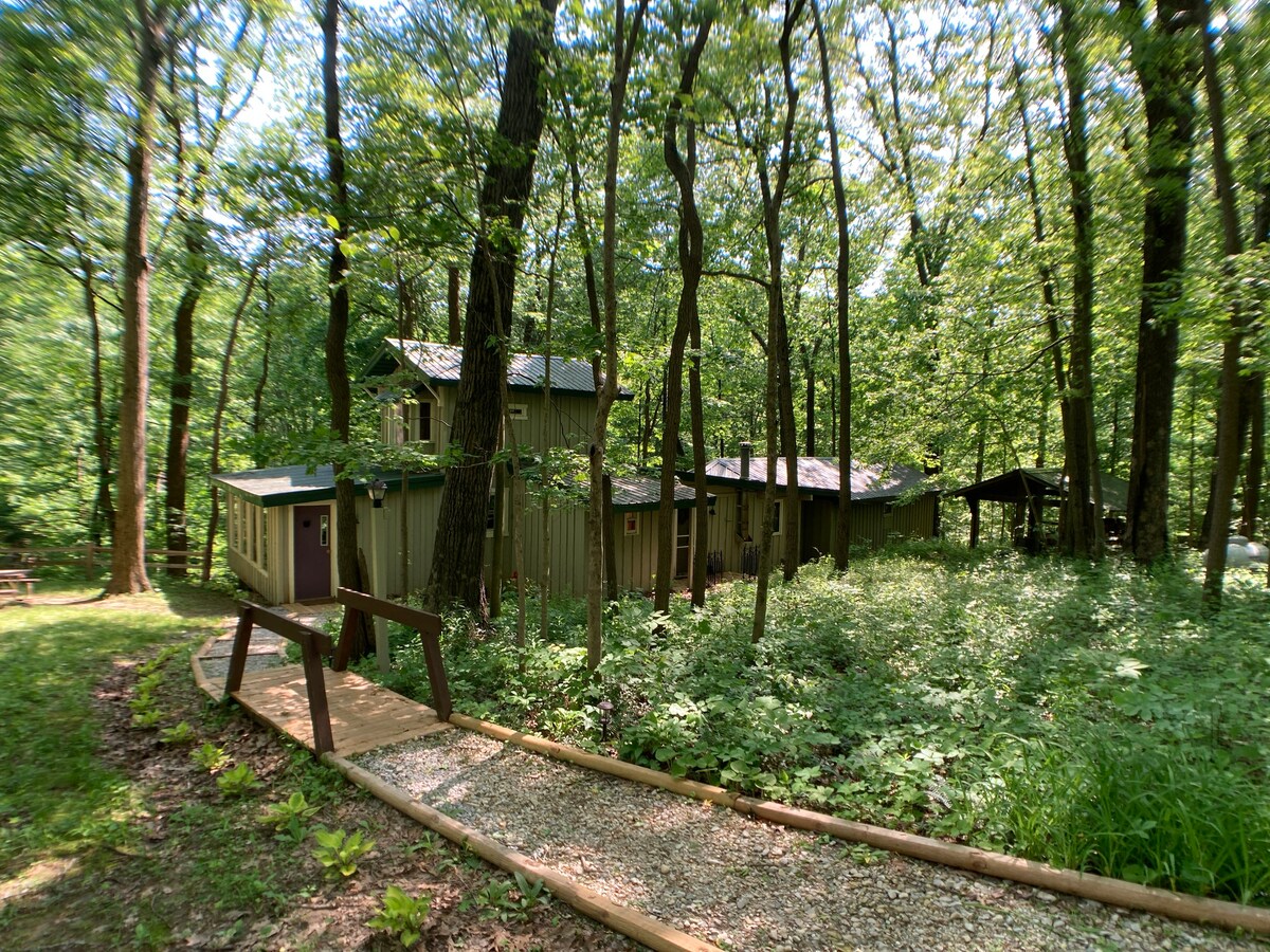 森林中的小木屋！