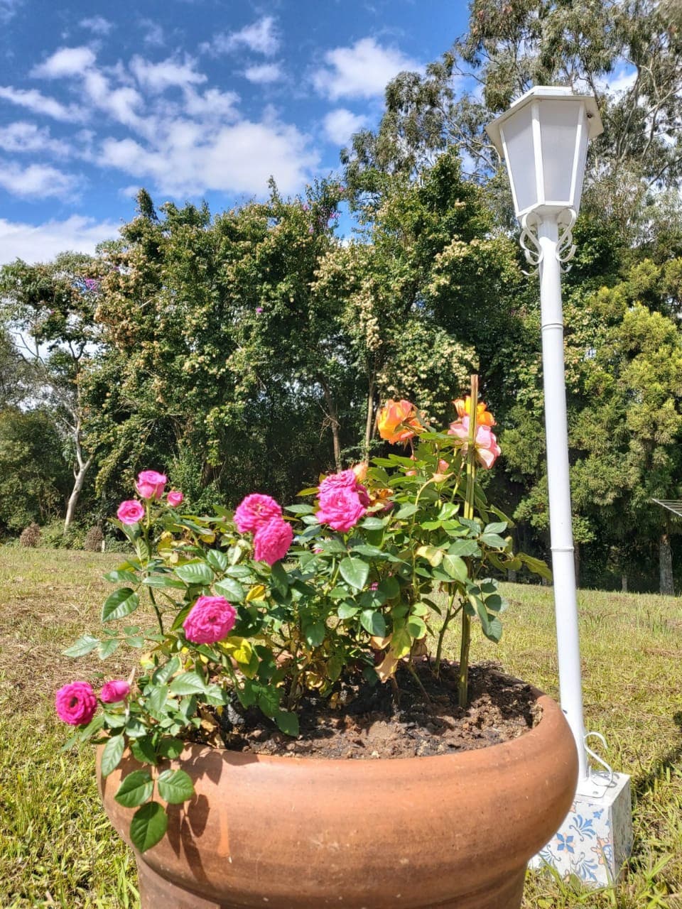 塞丽娜之家（ Serena 's House ） -靠近库里蒂巴（ Curitiba ）