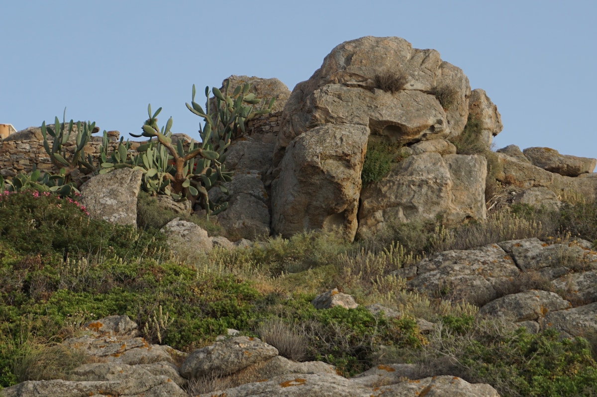 Arismari Villas Orkos Naxos