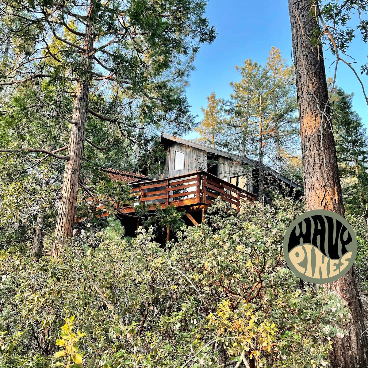 Wavy Pines Cabin - A Mountainside Hideaway