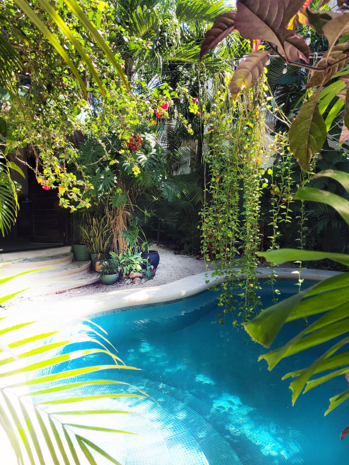 La Veleta带泳池厨房的热带绿洲