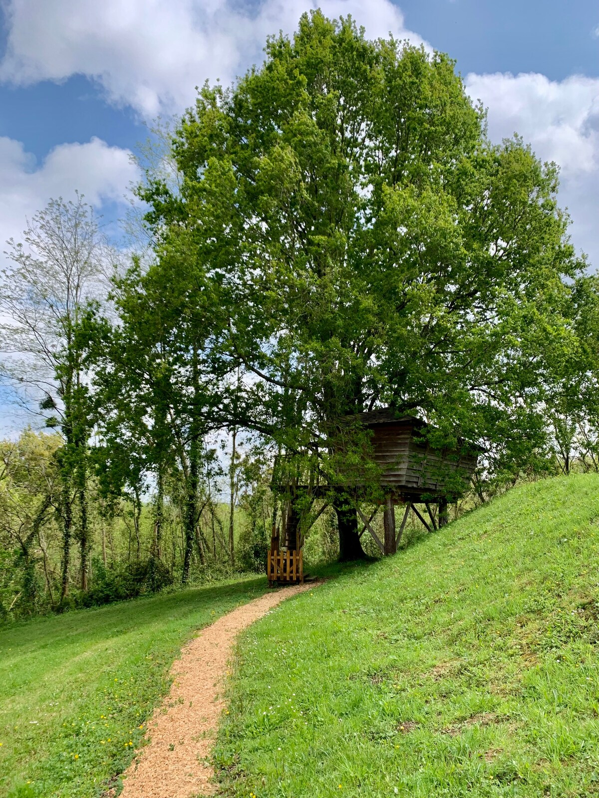 The Treehouse at Domaine des Laminak