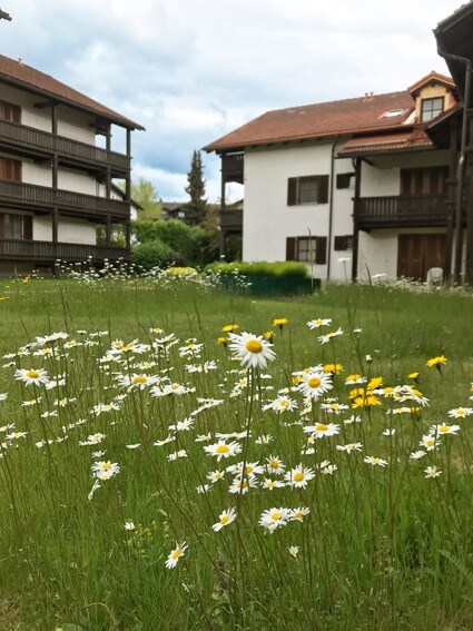 Chrysantihof Ferienapartment mit Terrasse