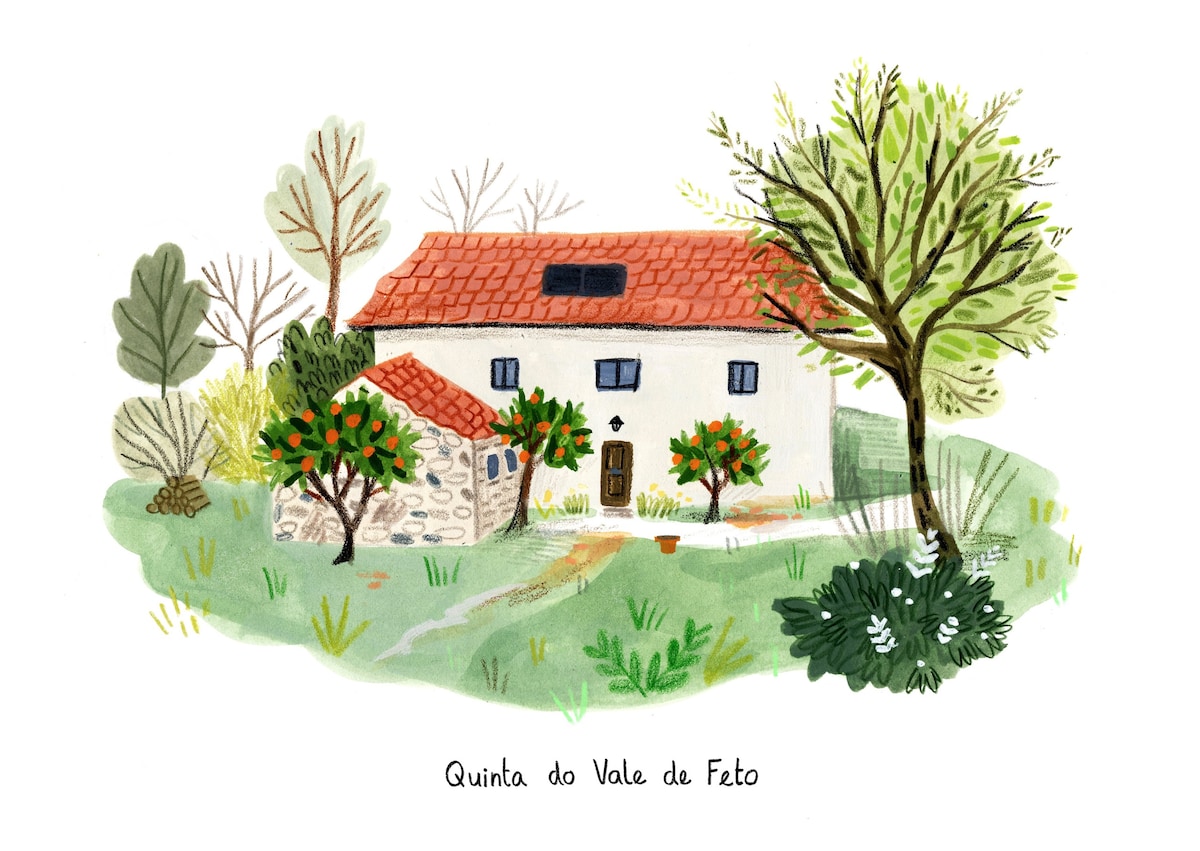 Quinta do Vale de Feto - Rural客栈