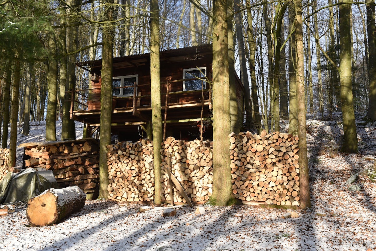 Waldhaus/Forest Hut in der Eifel