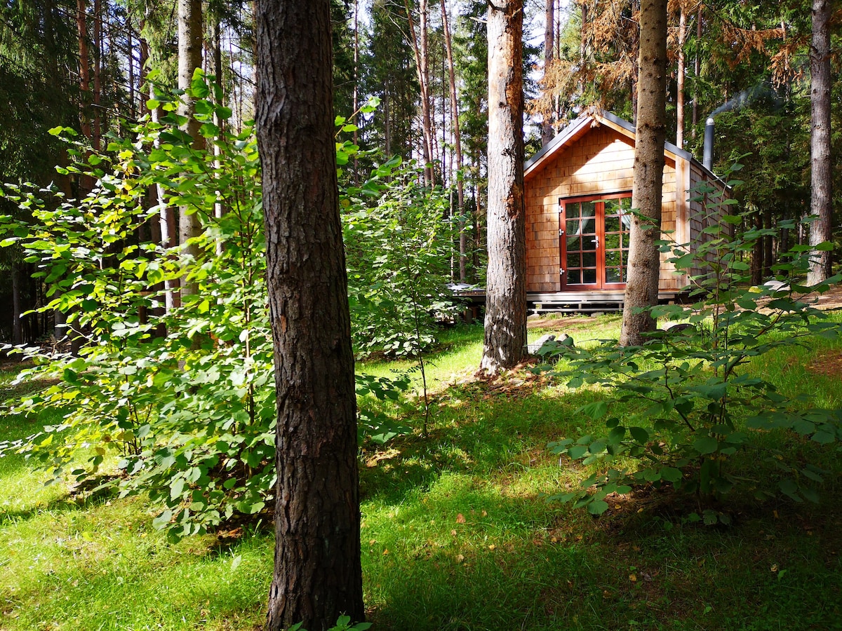 Kertuoja湖附近森林中的舒适小屋