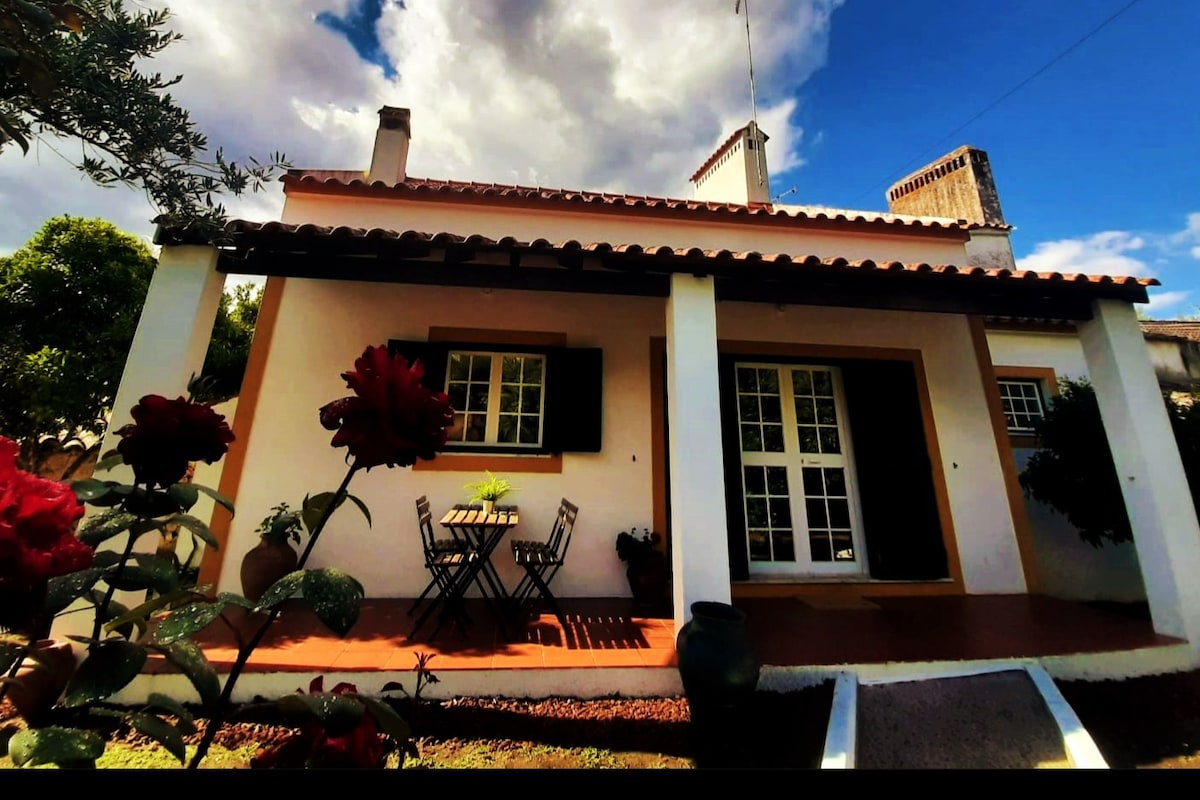 A Casa da Ti Vina - Typical Alentejo House