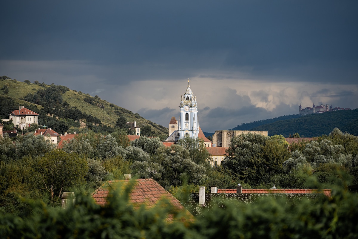 Wohnen am Weingut