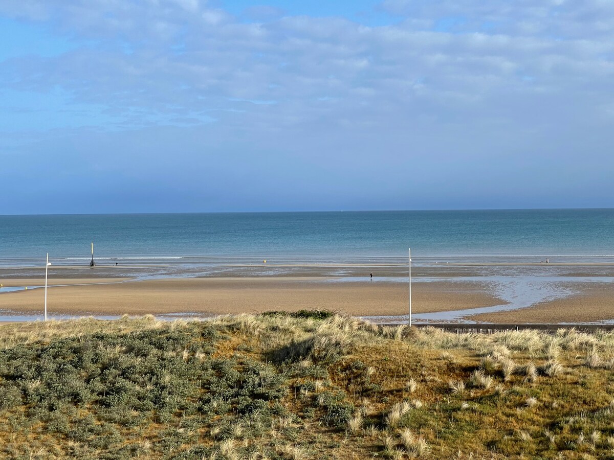 CABOURG ，壮丽的海景， F3距离海滩50米