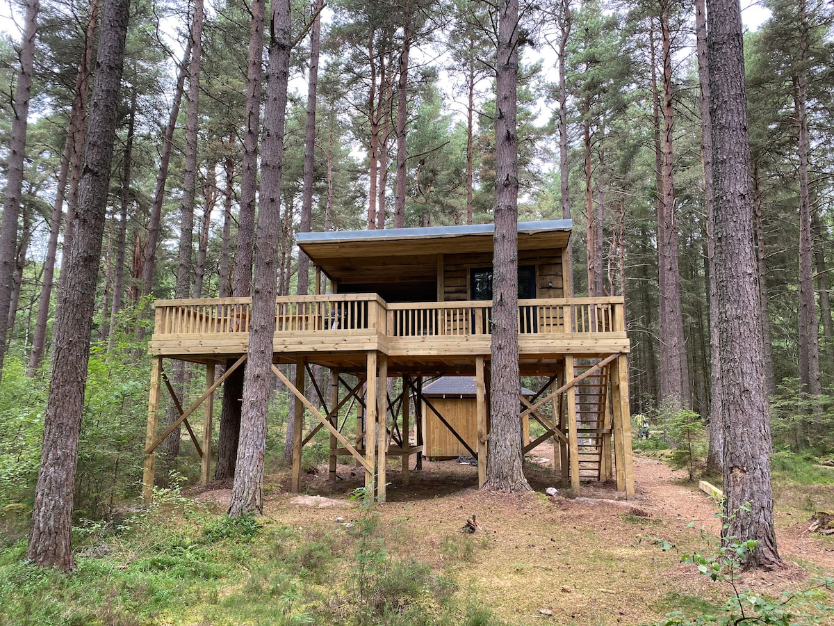 Treetops Tree House Eco Cabin Wildwoodz