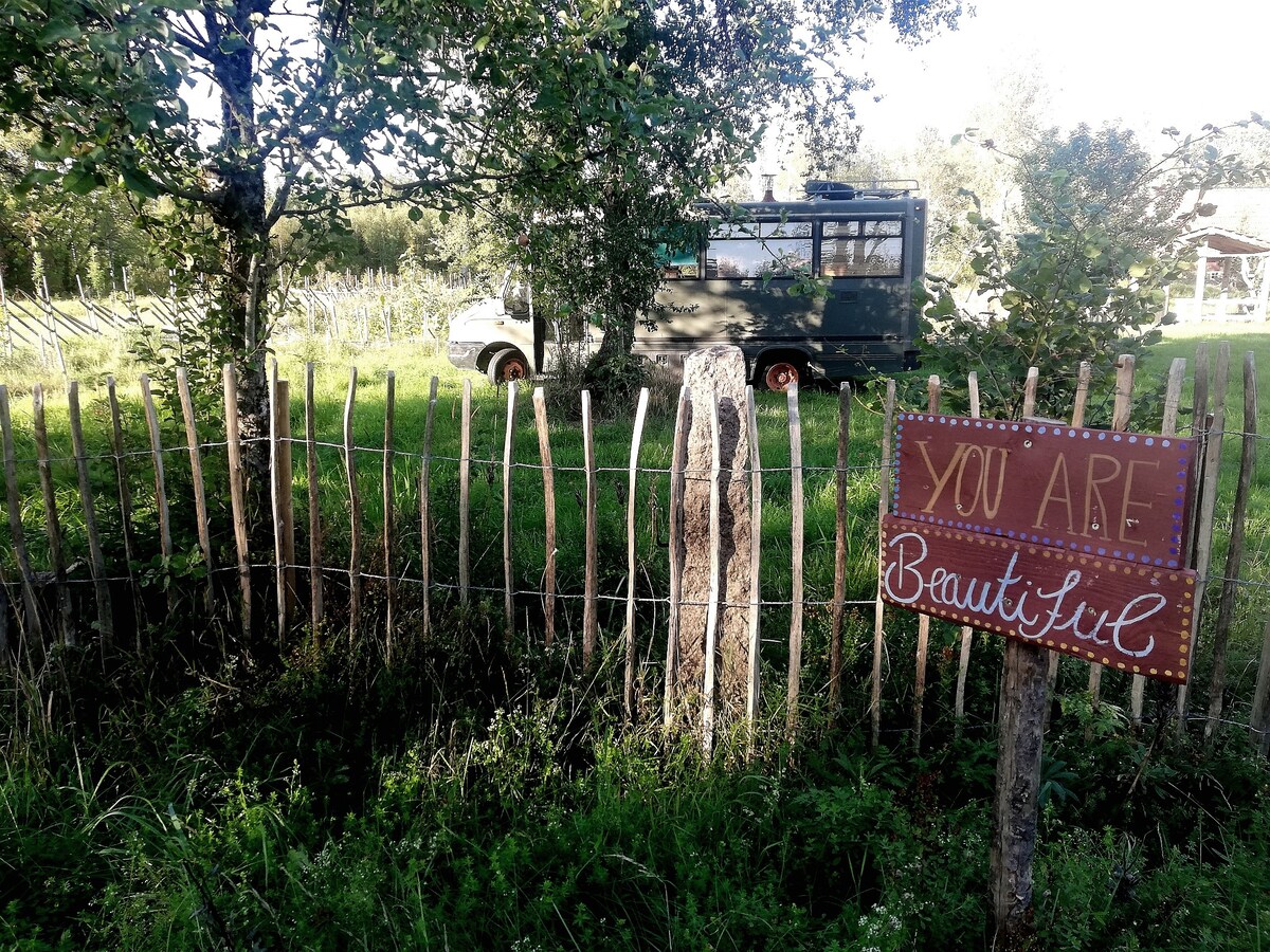 Tinyhouse on wheels, farmstay.