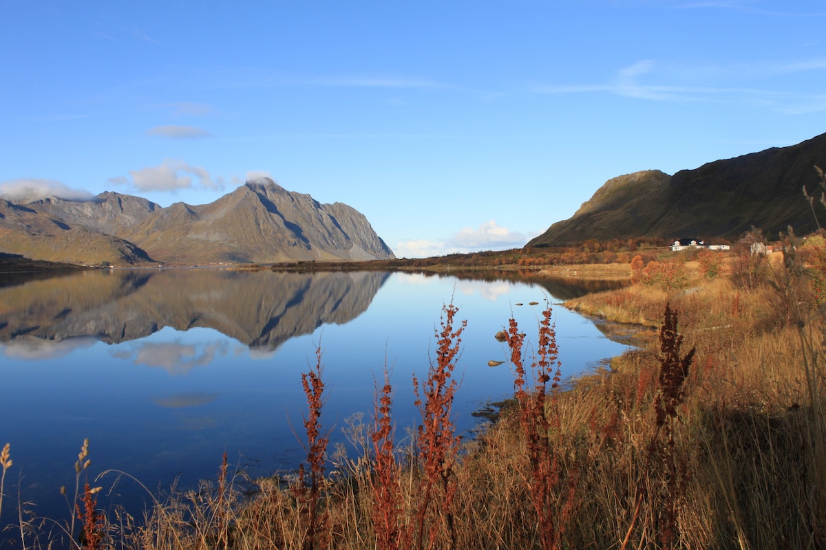 Strømgård
@lofoten_host