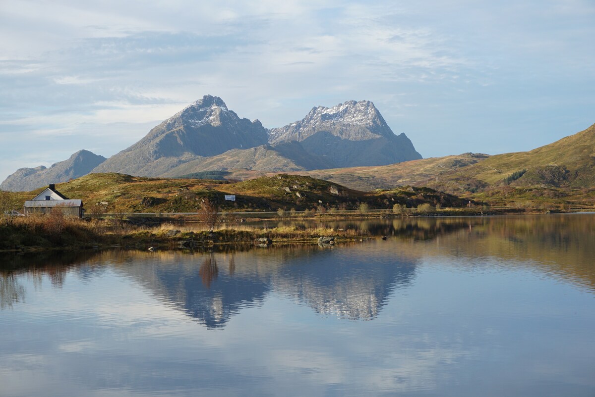 Strømgård
@lofoten_host