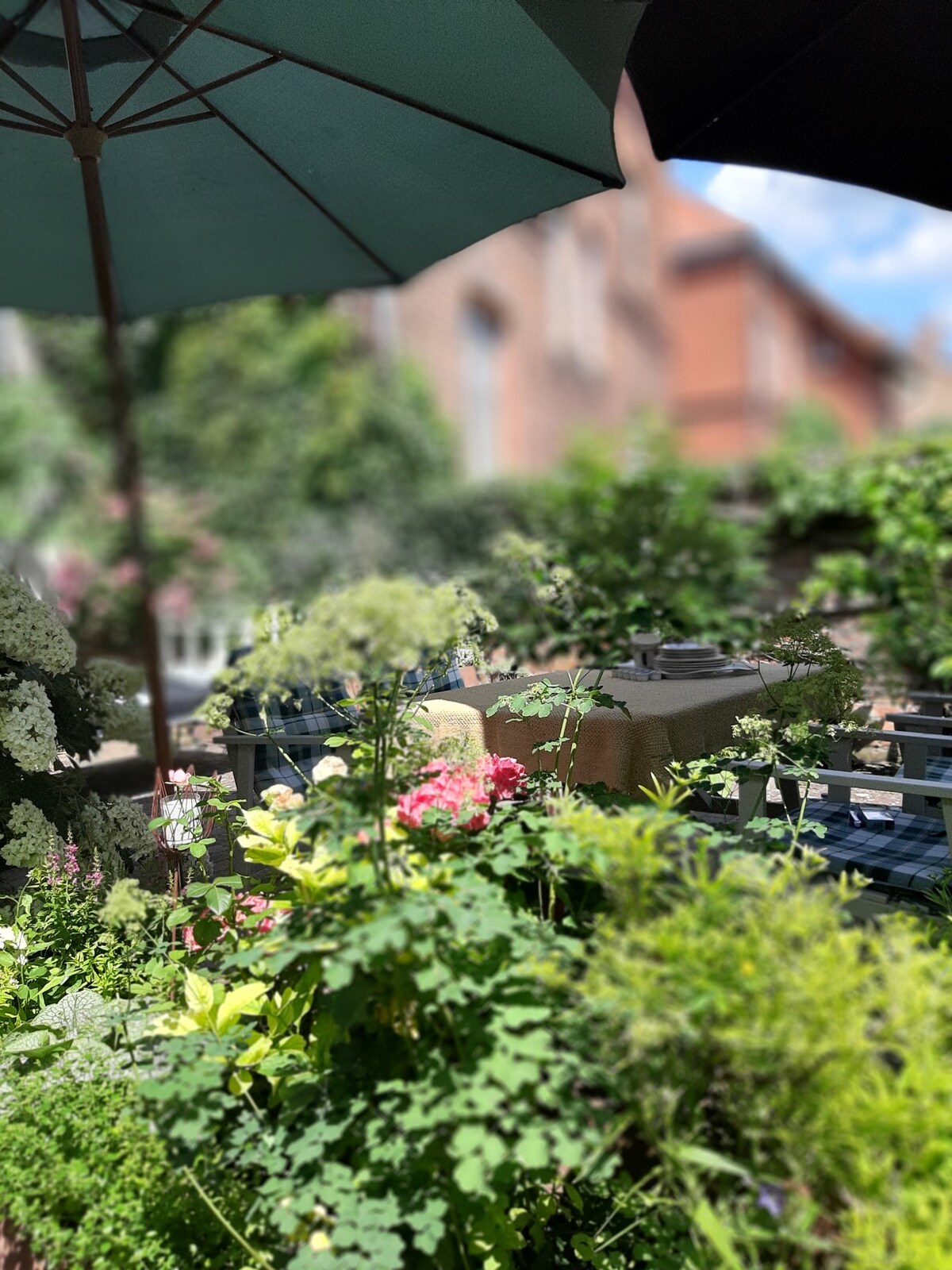 Oderbruch-Loftwohnung in der historischen Altstadt