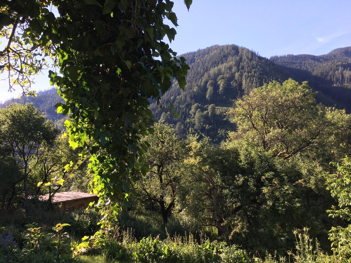 Auszeit in der Natur - in Oldtimer-Campingbus