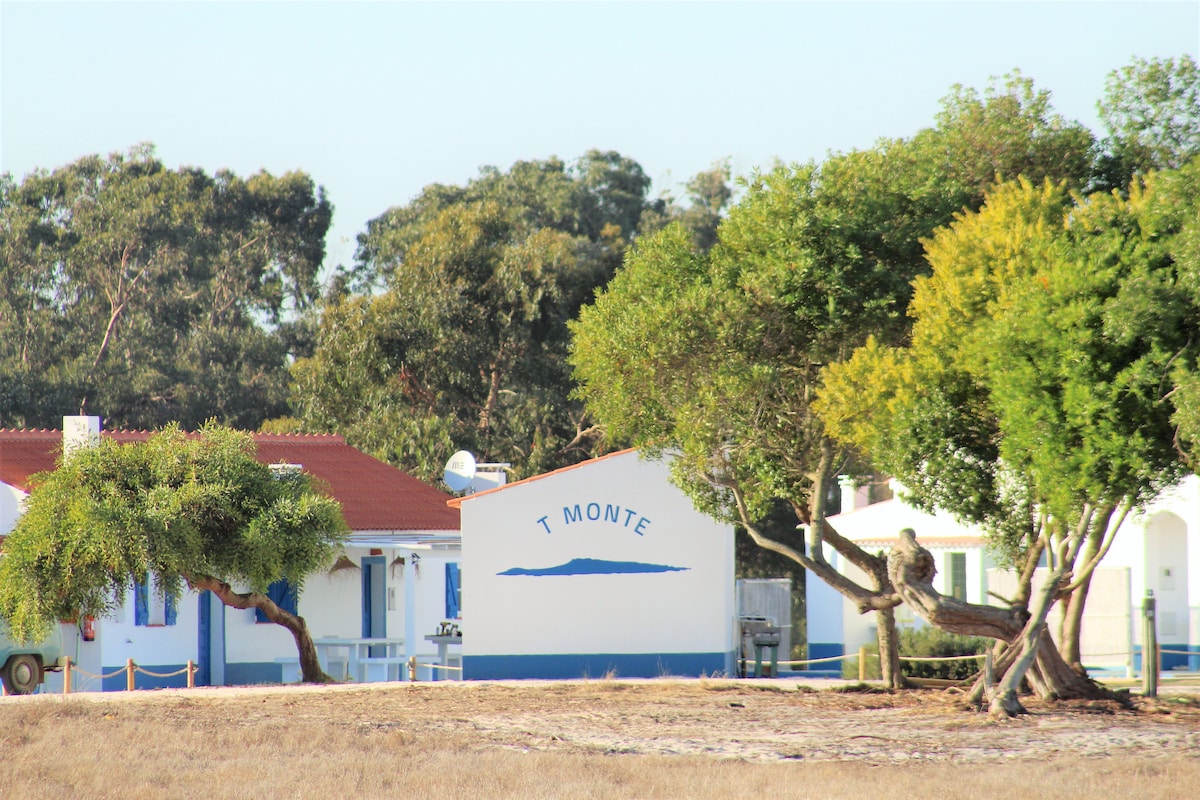 Monte Alentejano em frente ao Mar !