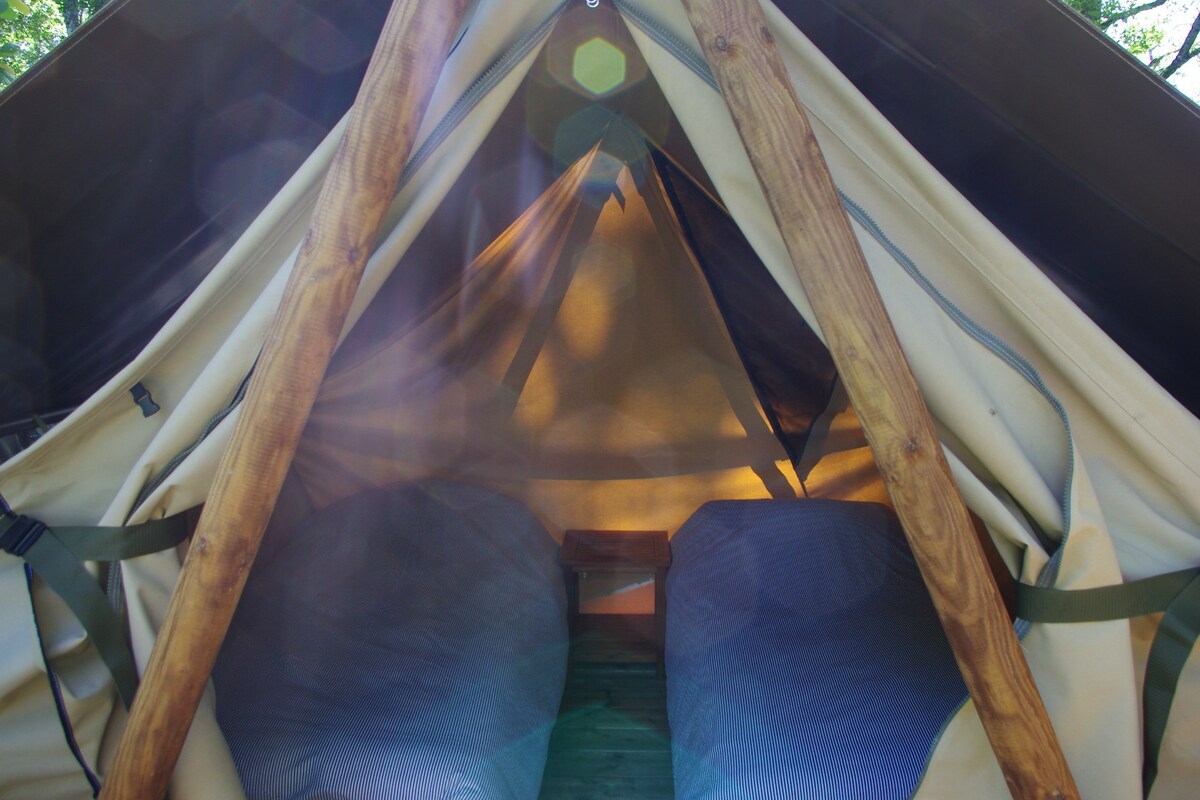 大自然布置的帐篷和放松