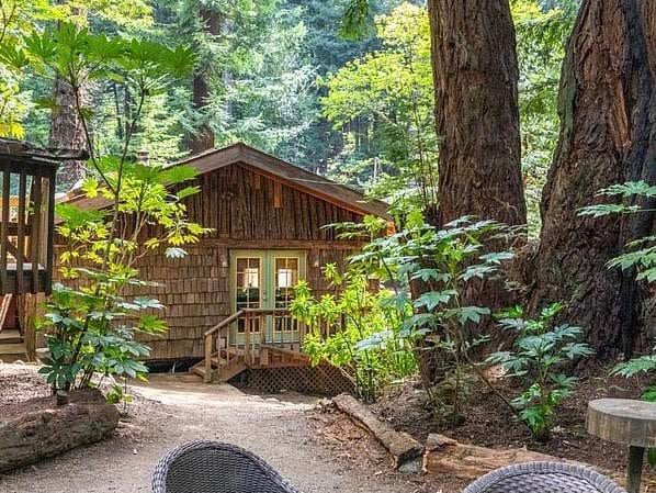 通往小木屋的道路。 Redwoods度假之旅