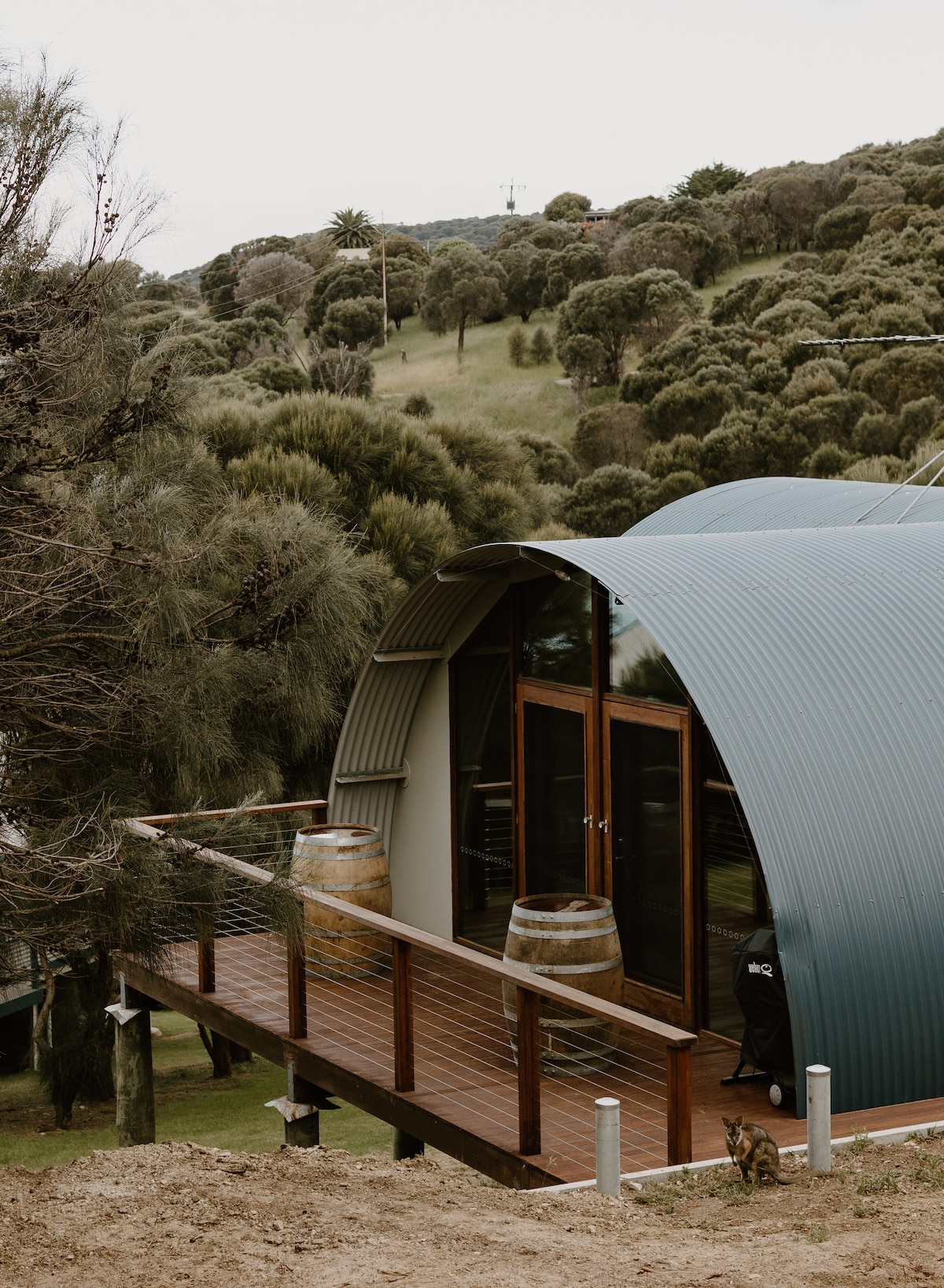 Island Burrow - Kangaroo Island