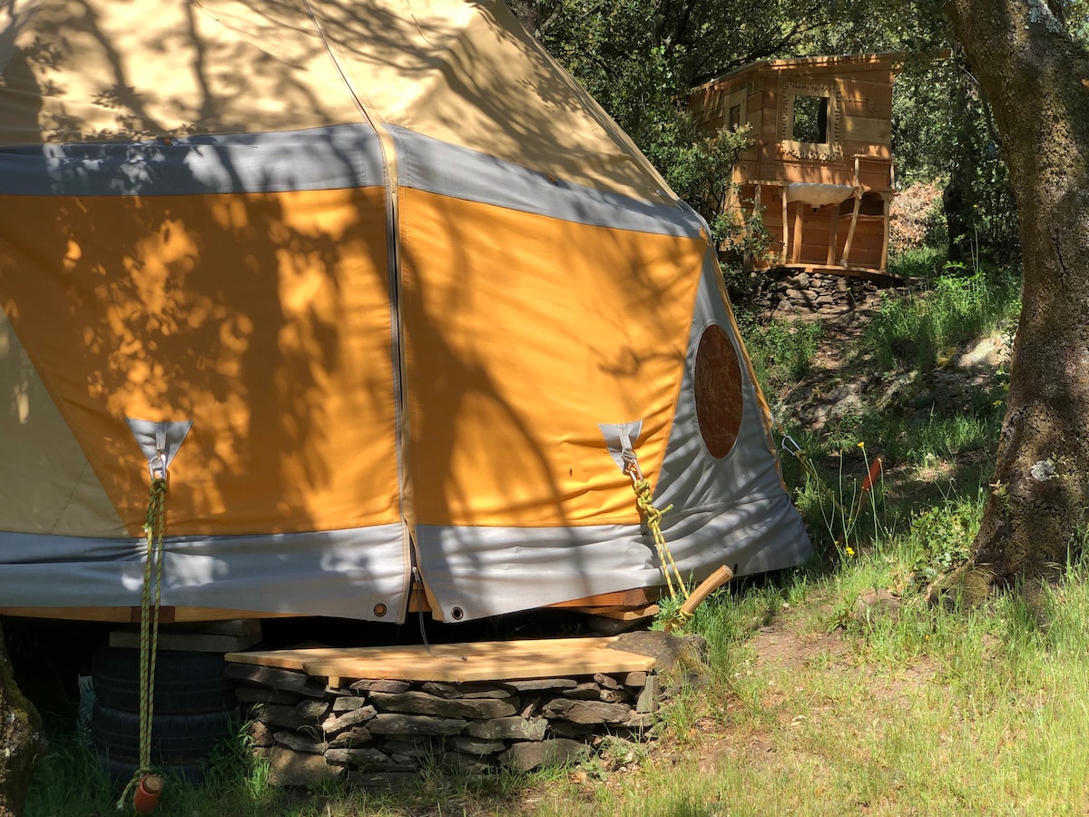 Chestnut-framed geodome for woodland luxury