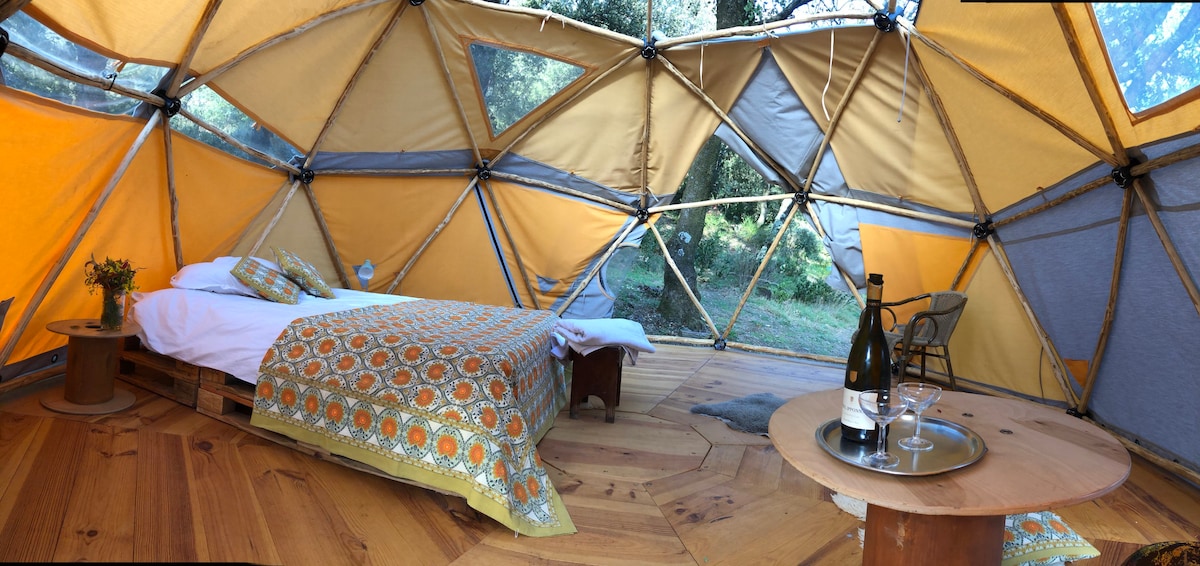 Chestnut-framed geodome for woodland luxury