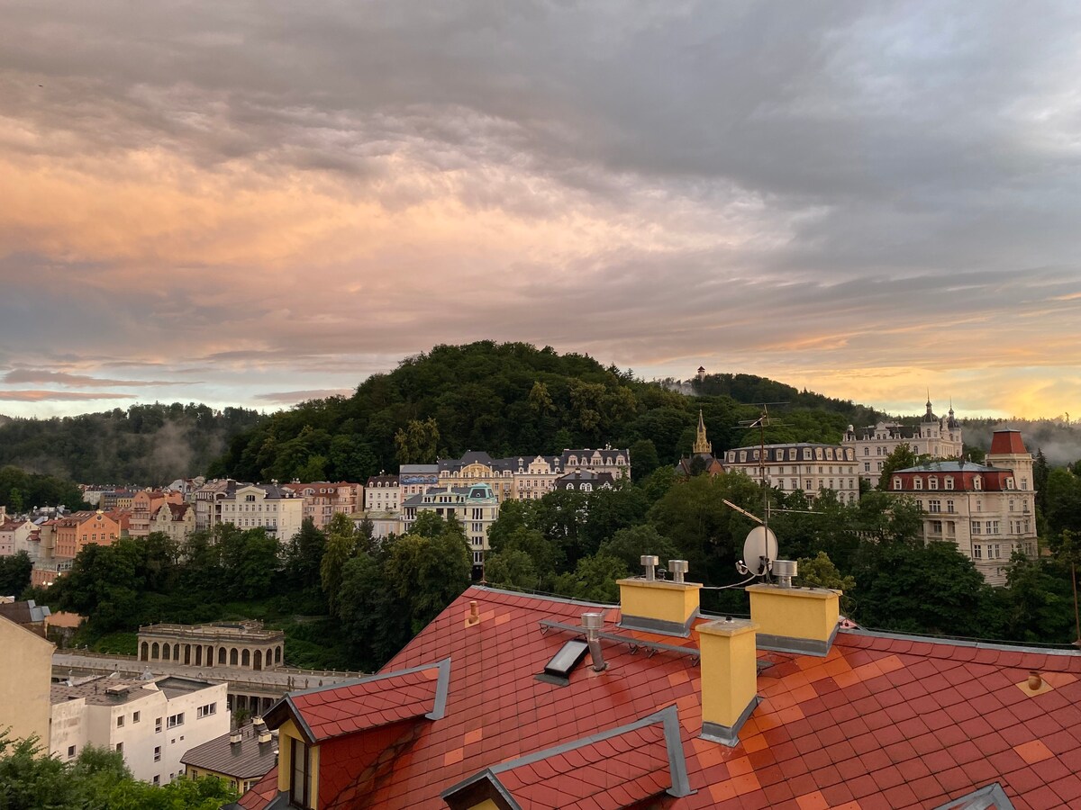 位于卡罗维发利（ Karlovy ）的舒适阁楼，欣赏美景