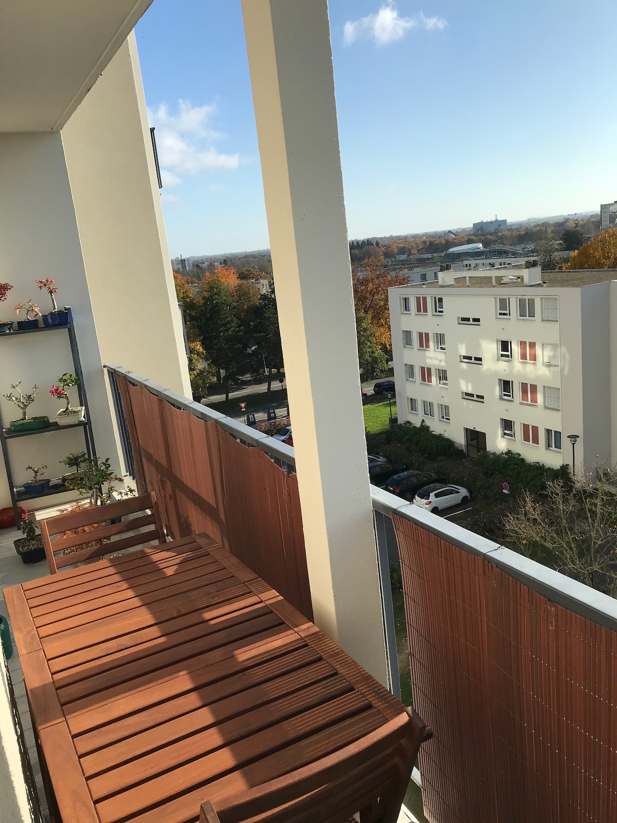 T4 Rennes ，明亮，阳台（浇灌植物）