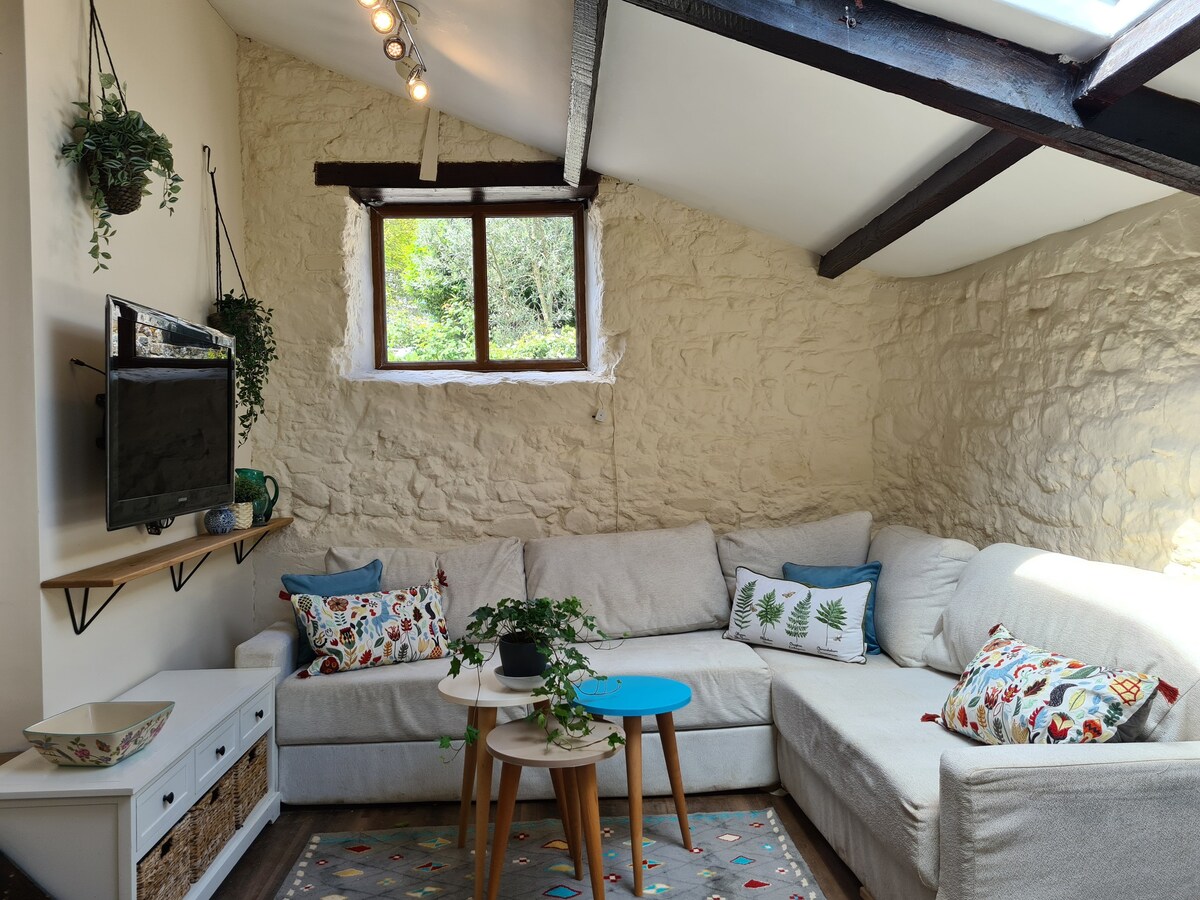 The Dairy - Quaint 1Br in Dartmoor National Park