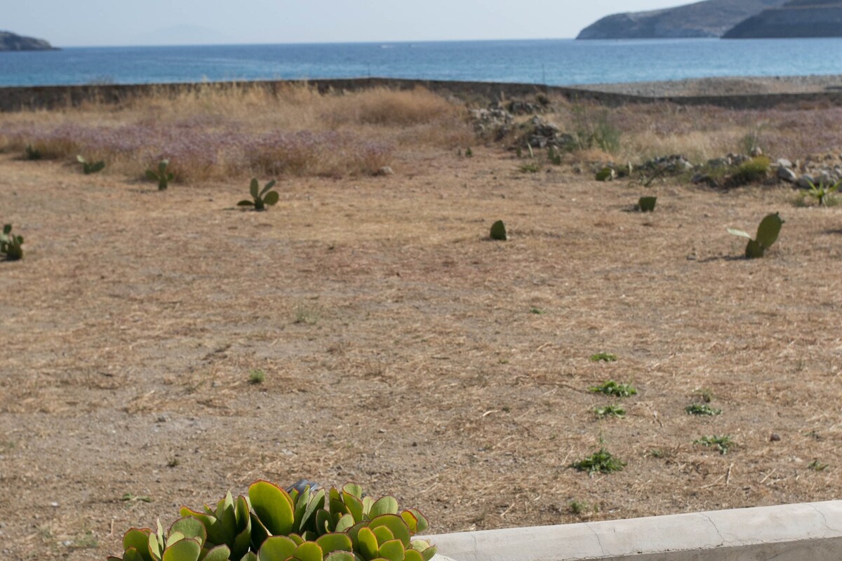 加内马海滩天堂波塞冬（ Ganema Beach Paradise Poseidon ）