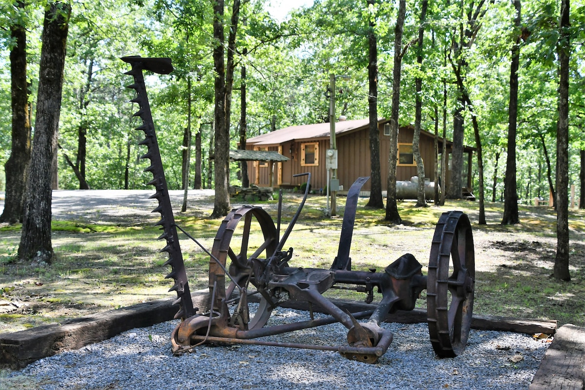 Secluded 1 bedroom rustic cabin near Lake Ouachita