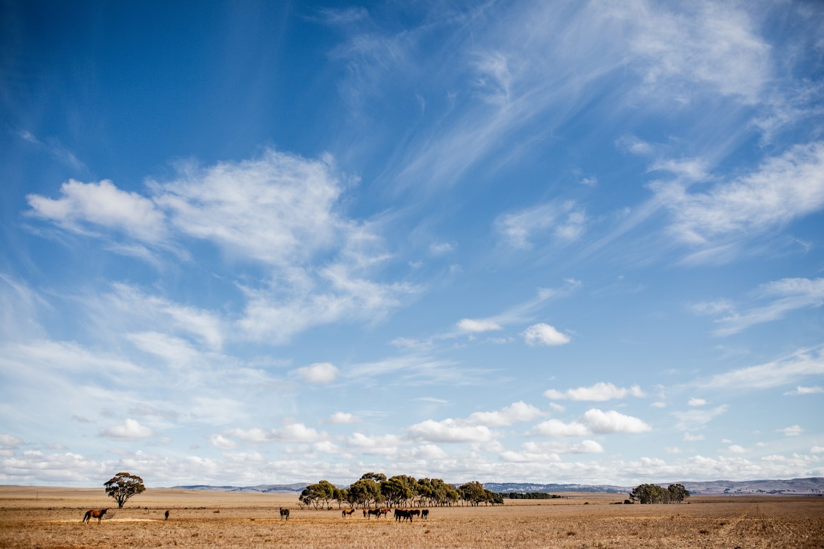 Rural Getaway - Harding Homestead Boniah Creek SA