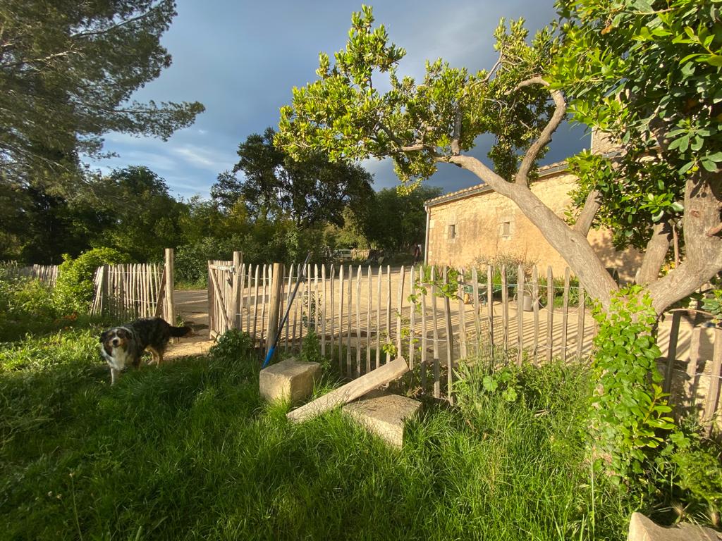 "L'Olive" gite avec baignade naturelle