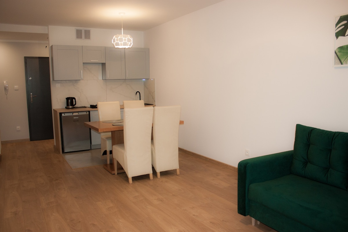 Apartament MAGNOLIA 2 FABRYCZNA