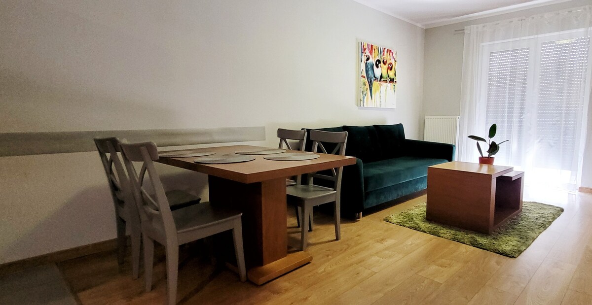 Apartament MAGNOLIA 2 FABRYCZNA