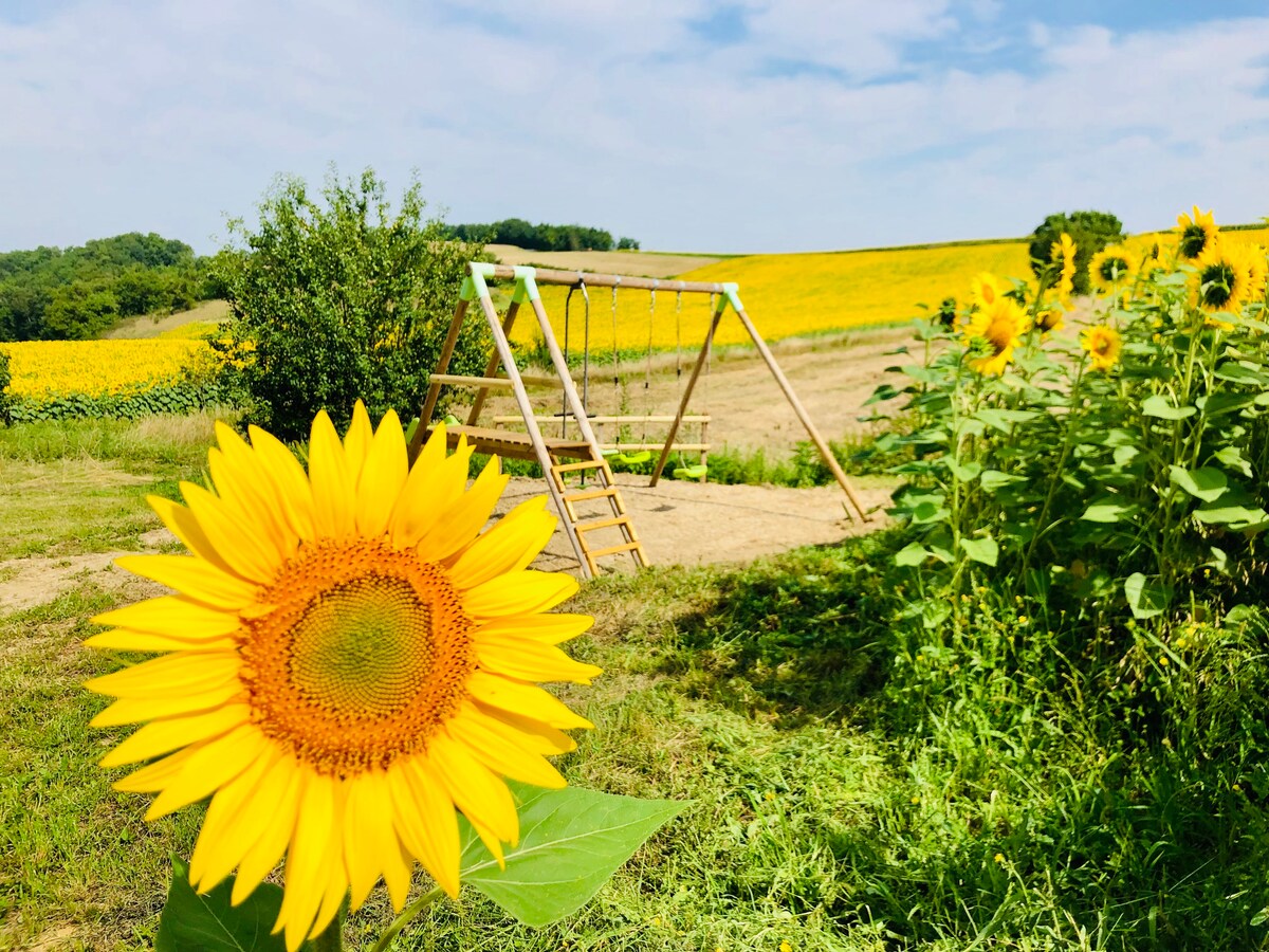 Gîte familial au milieu des tournesols