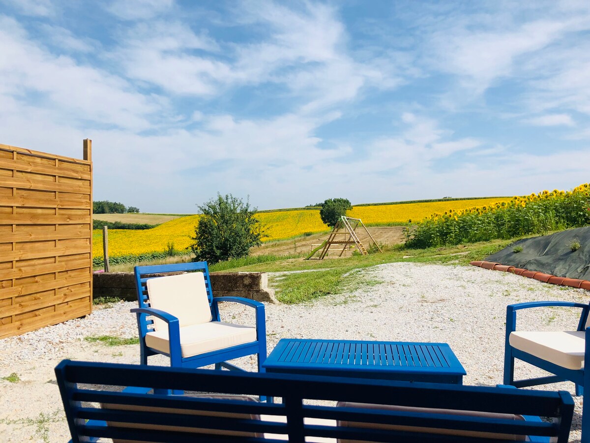 Gîte familial au milieu des tournesols