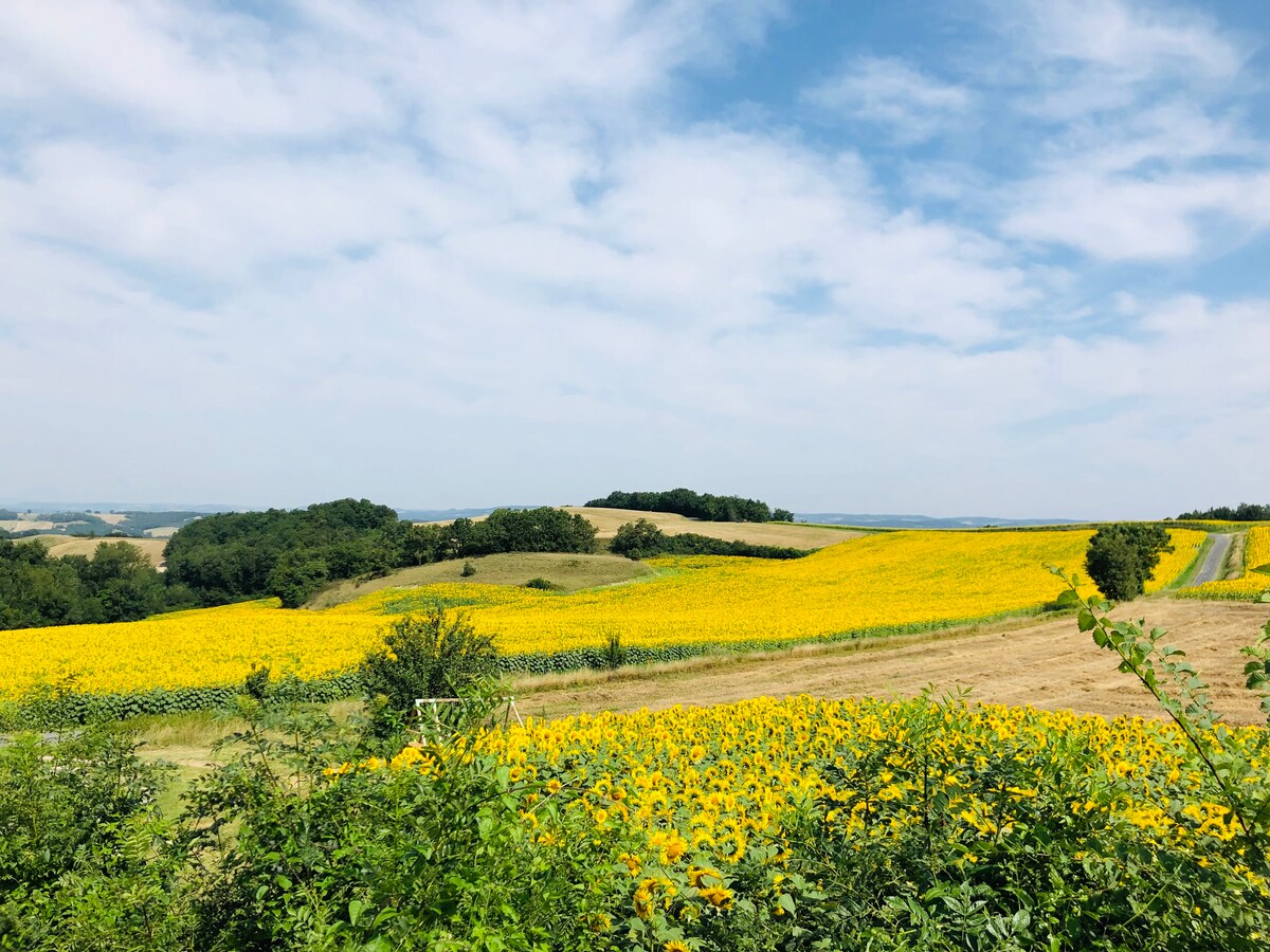 Gîte familial au milieu des tournesols