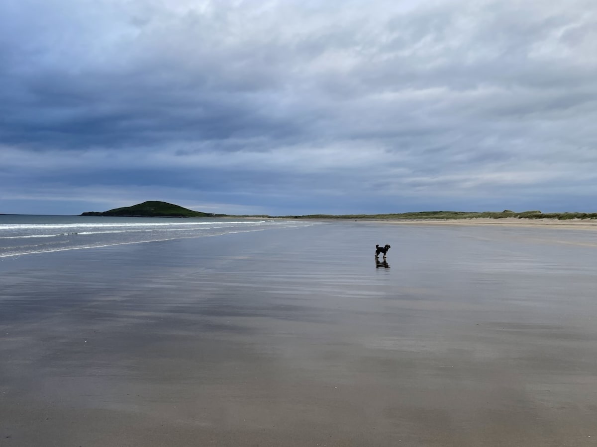 Lissadell Sligo附近的舒适偏远海滩别墅