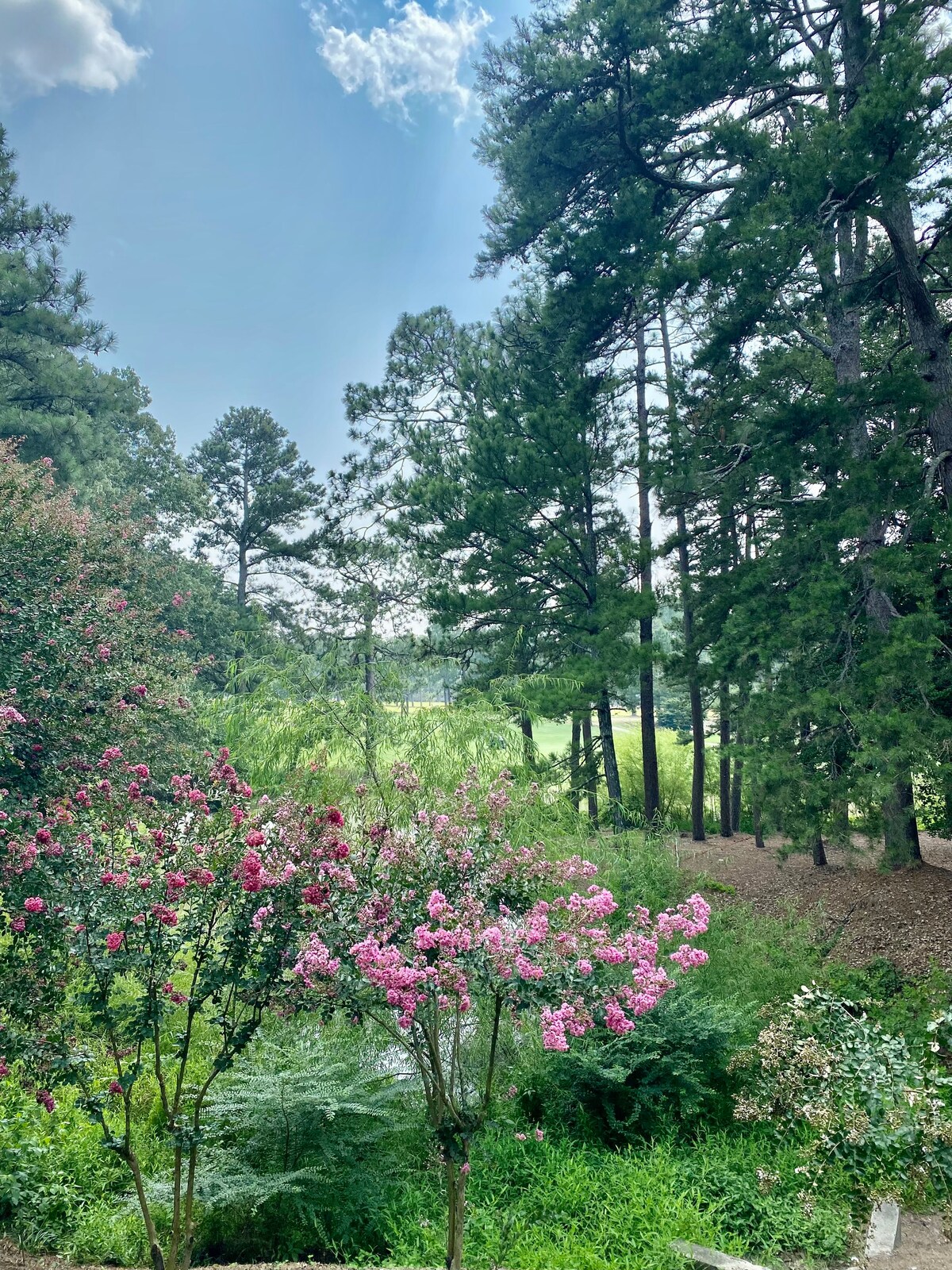 Tranquil Condo Overlooking Pinehurst 5! Sleeps 4!