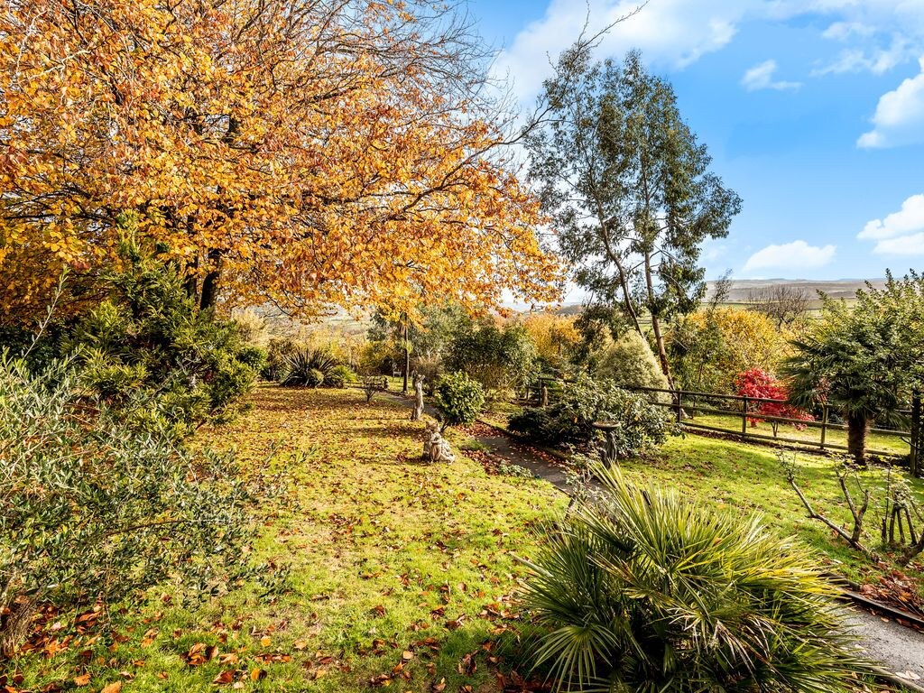 Stunning house, fenced garden, and outdoor dining!