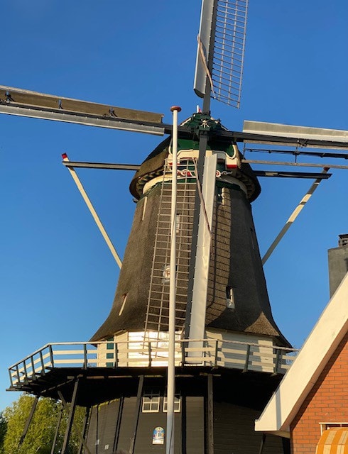 Knusse woning onder de molen.