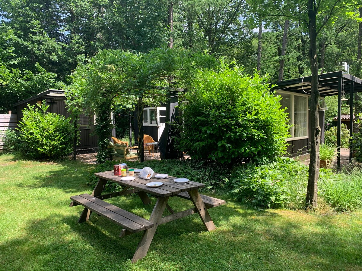 Outdoor quiet forest house with fireplace