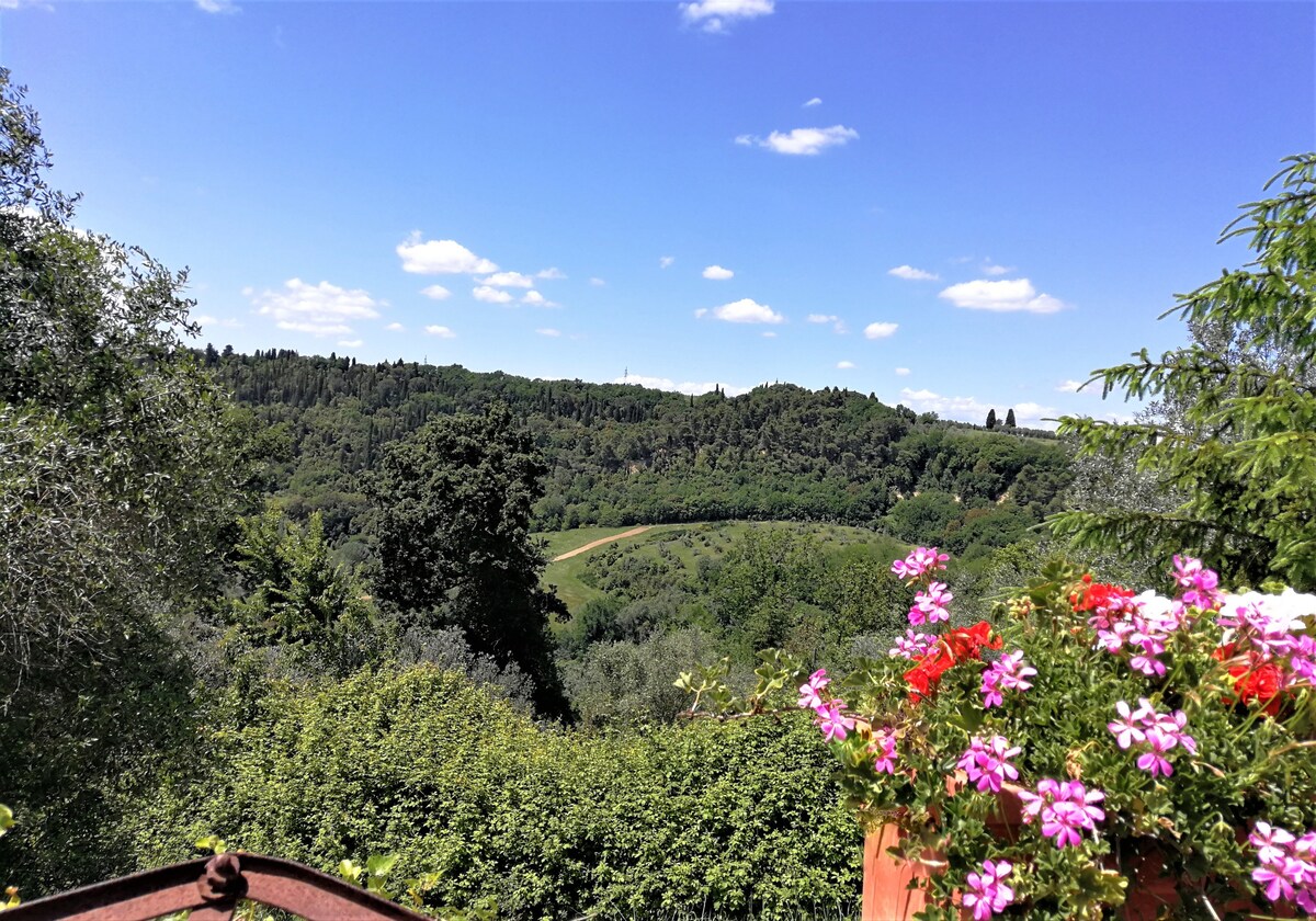 Relax in the beautifull landscape of Chianti !!