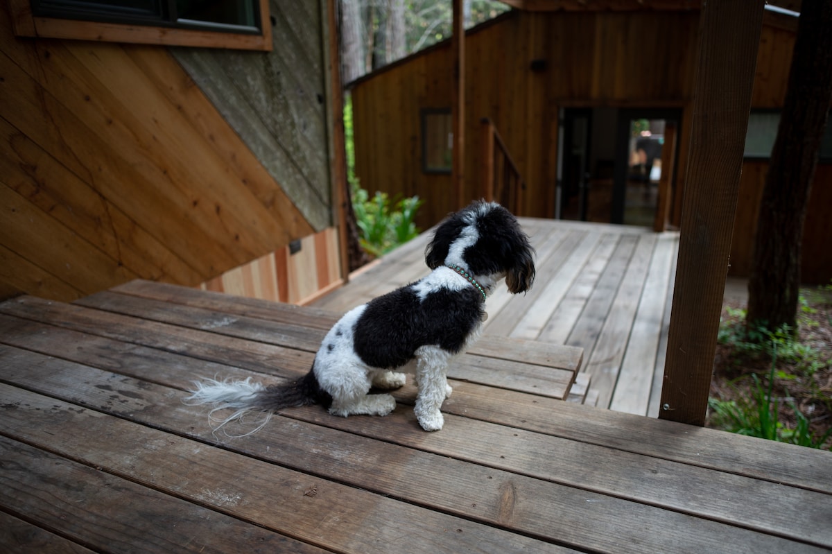 Schoner Haus at the Sea Ranch