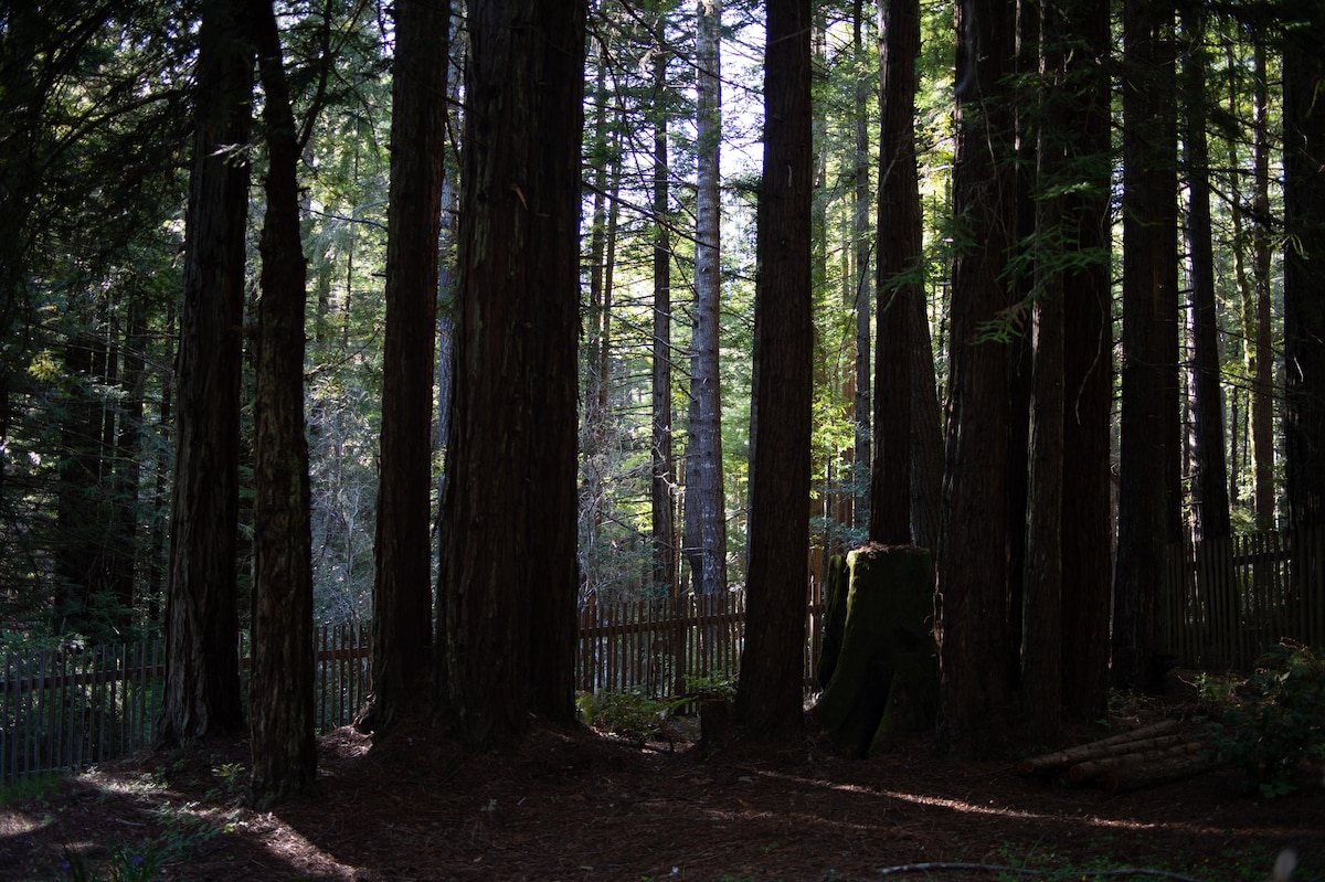 Schoner Haus at the Sea Ranch