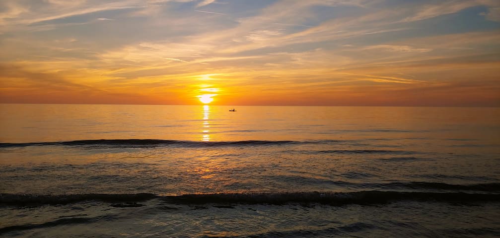 马德拉海滩(Madeira Beach)的民宿