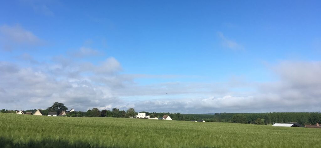 位于城堡中心的自然小屋 
 "Un thé sur la Loire"