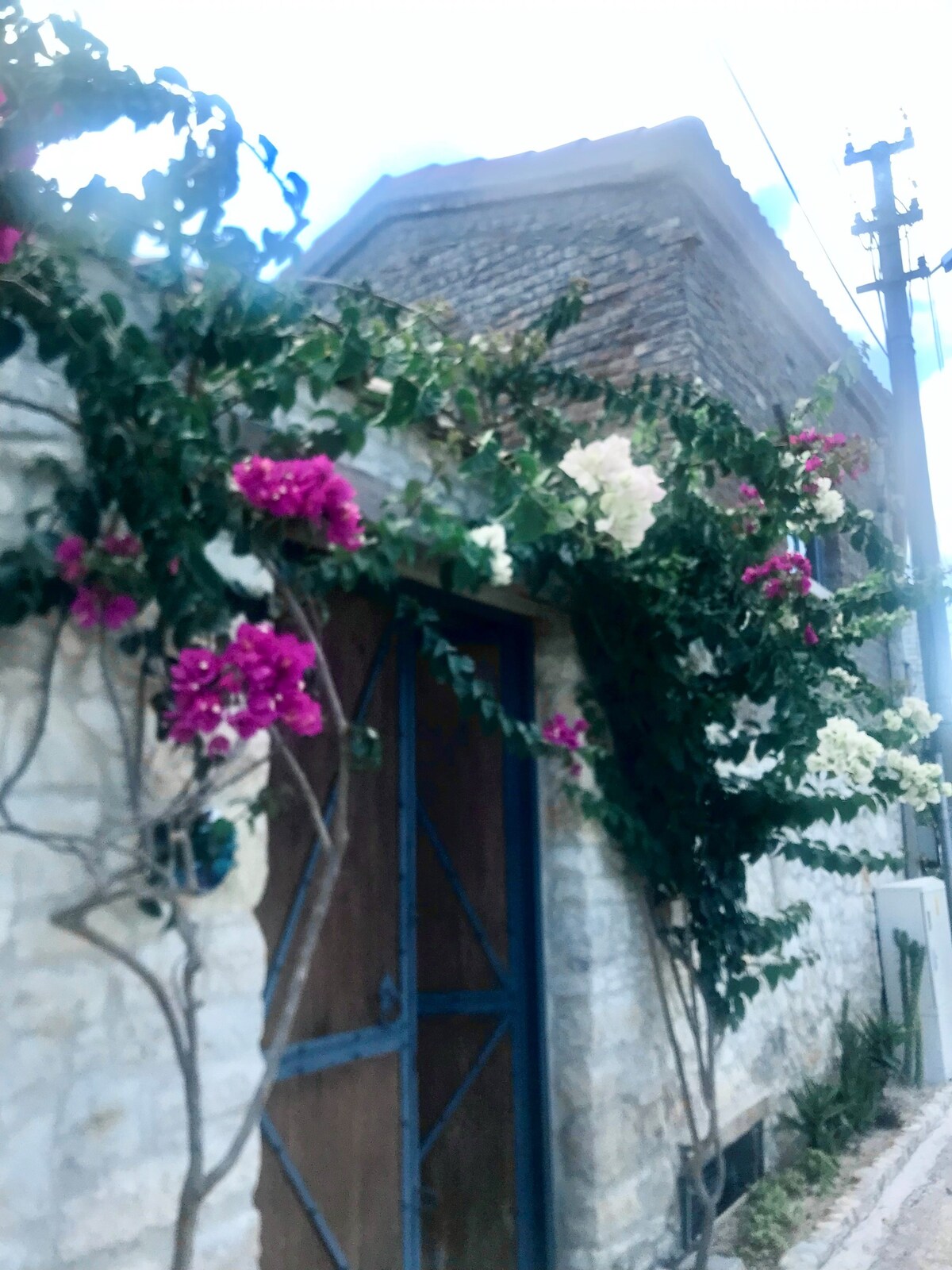 带Urla中央庭院的Rustic Stone House （ UrlaHouse No3 ）