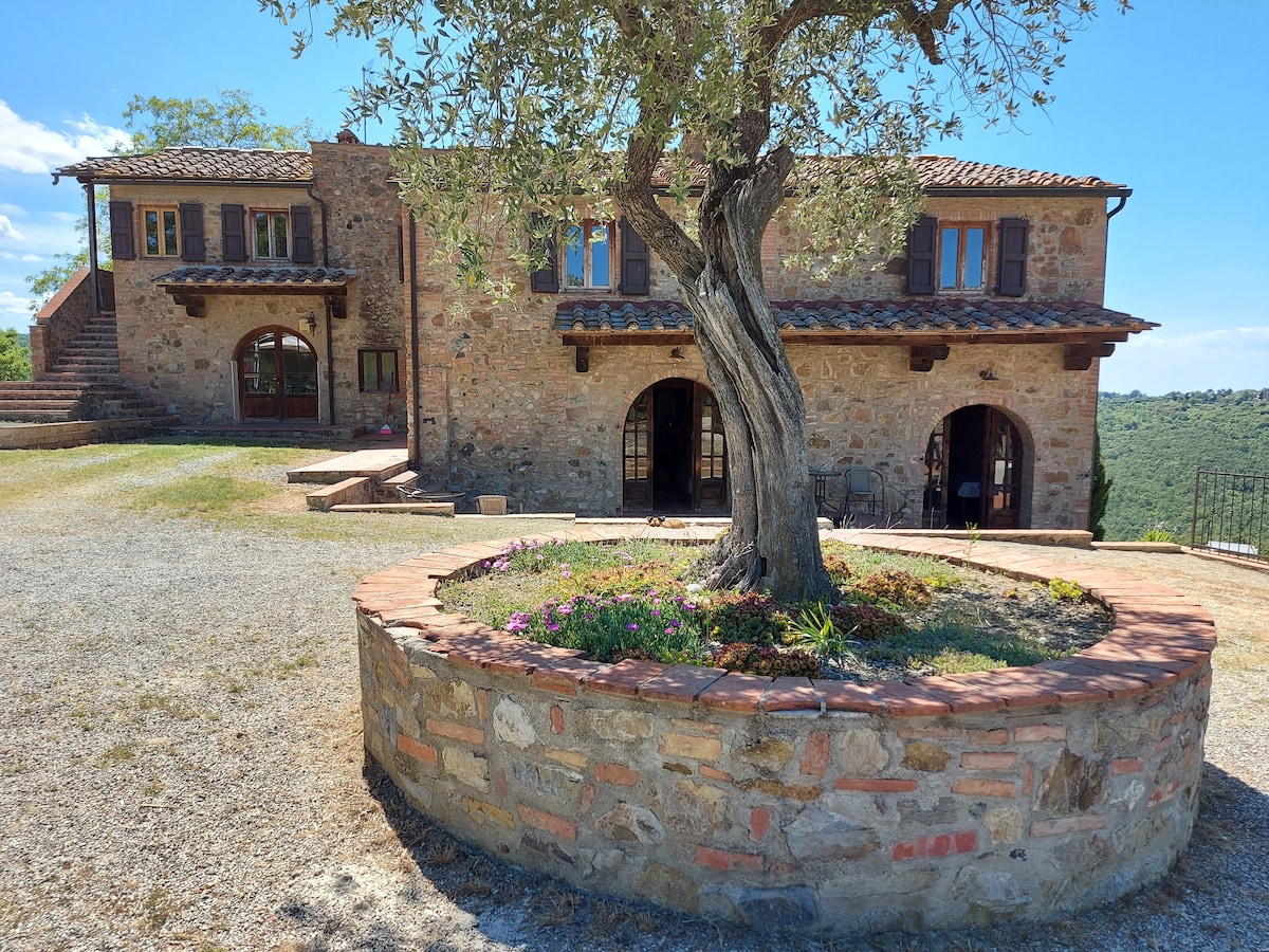 agriturismo poggio leone - Ulivo apartment