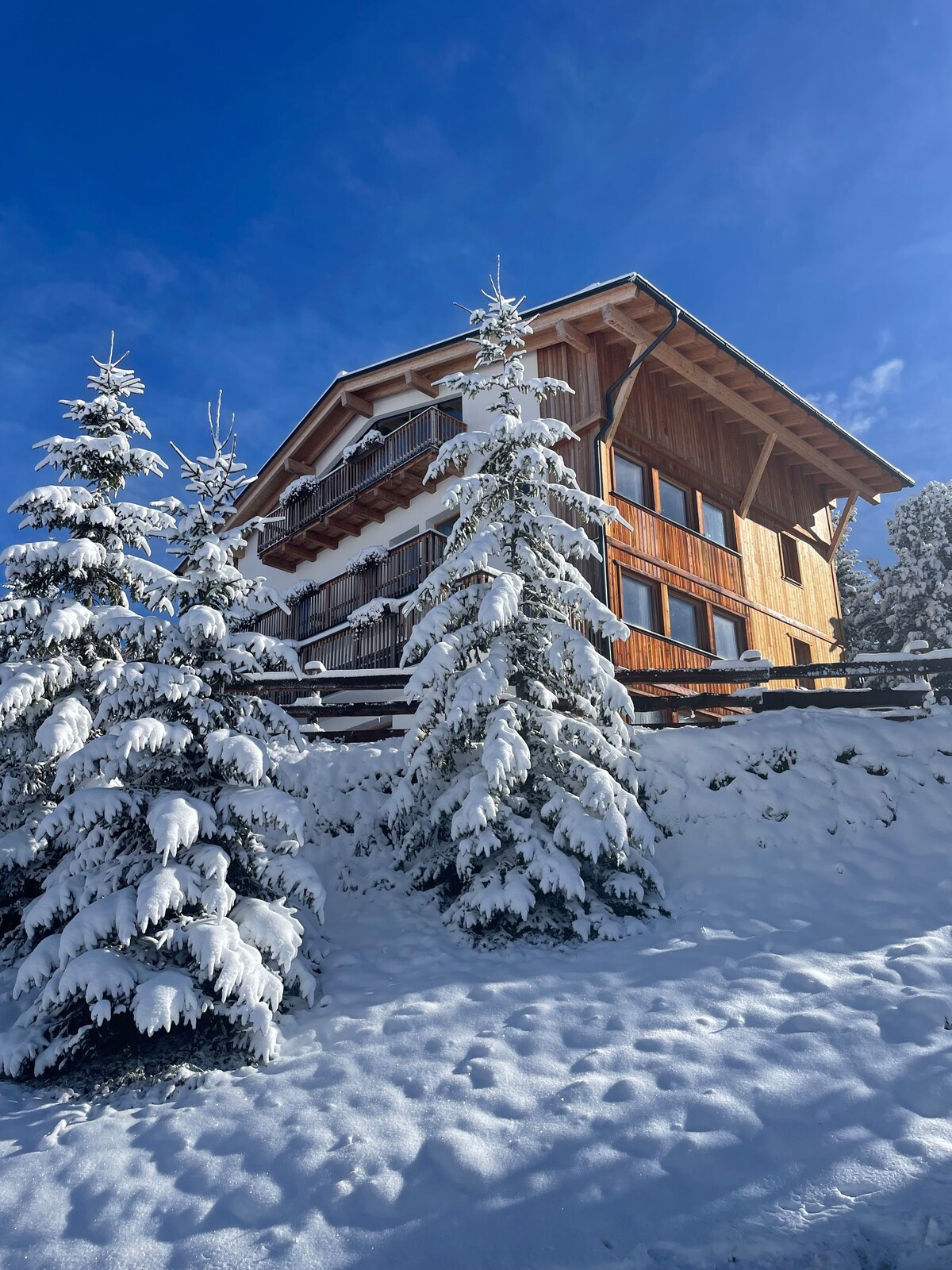 滑雪进出，无与伦比的景观（ ChaletLiosa-Corvara ）